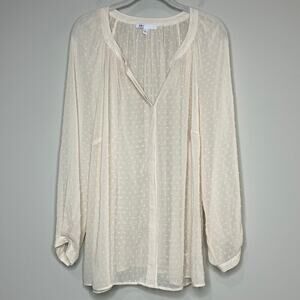 DR2 Swiss Dot V Neck Popover Blouse Size 1X